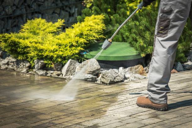 Best Gutter Cleaning  in North Miami, FL