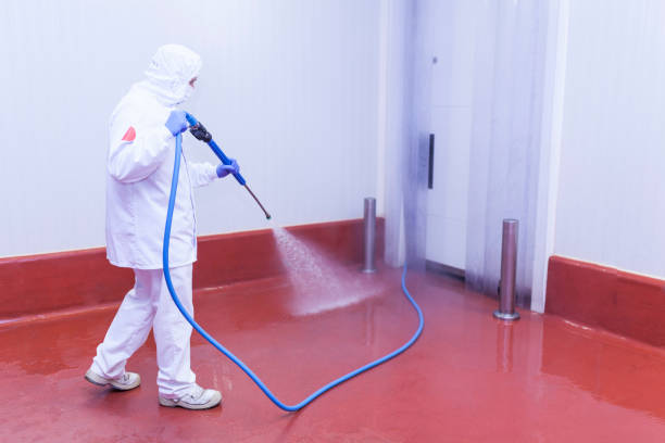 Best Oil Spill Cleanup  in North Miami, FL