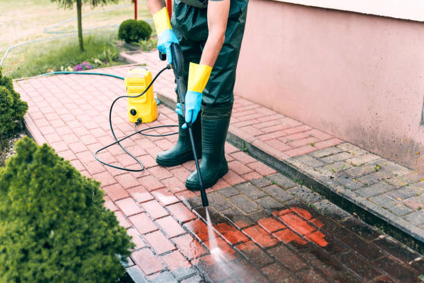 Best Building Exterior Washing  in North Miami, FL